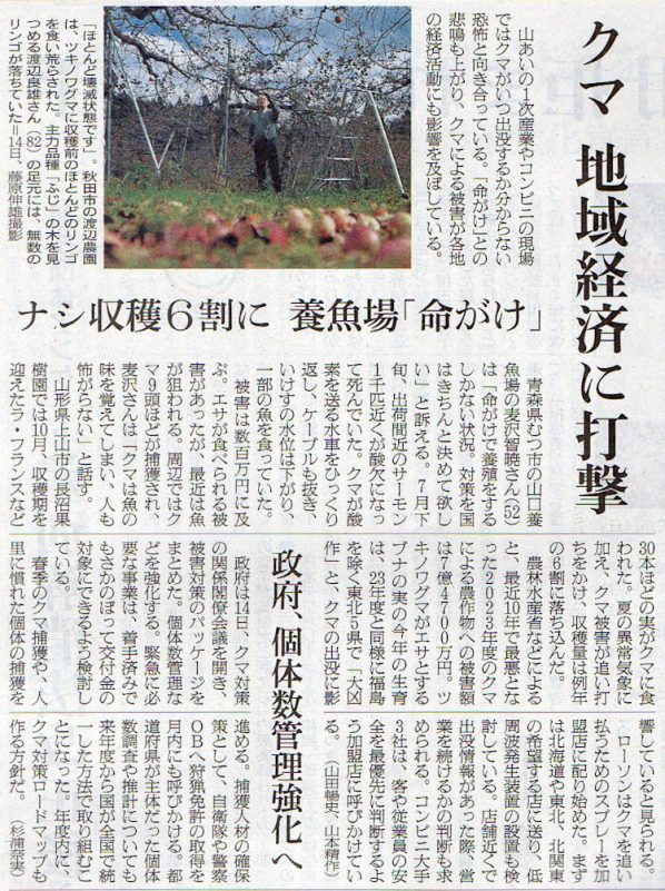 2025-11-15ピックアップ