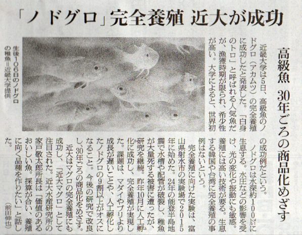 2026-2-6ピックアップ