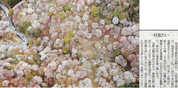 2026-4-6ピックアップ